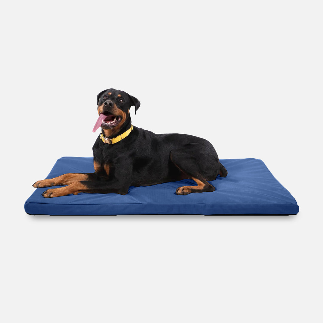 Fresh Look at Tough Ripstop Orthopedic Dog Crate Bed