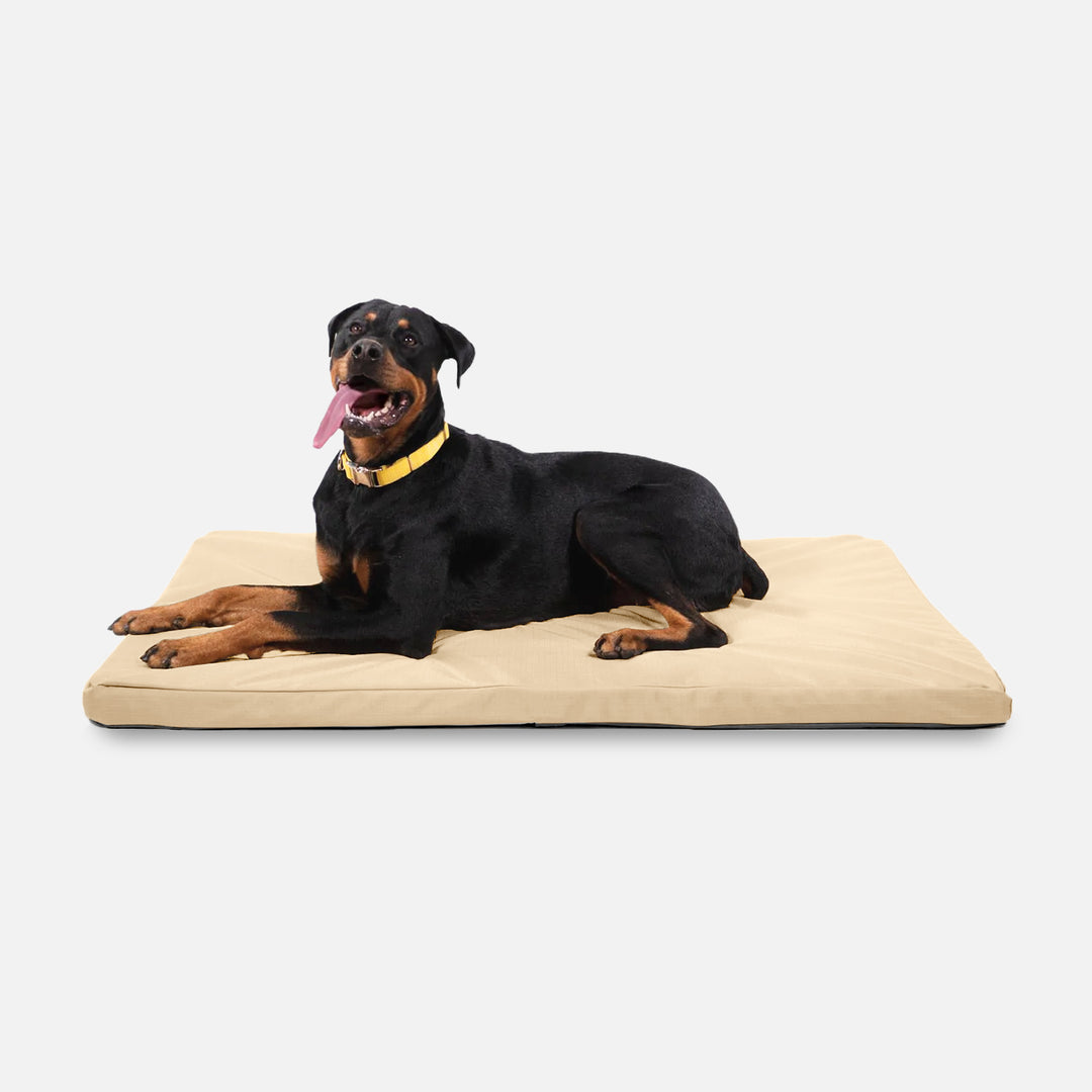 Curated visual reference: Visual Reference: Tough Ripstop Orthopedic Dog Crate Bed