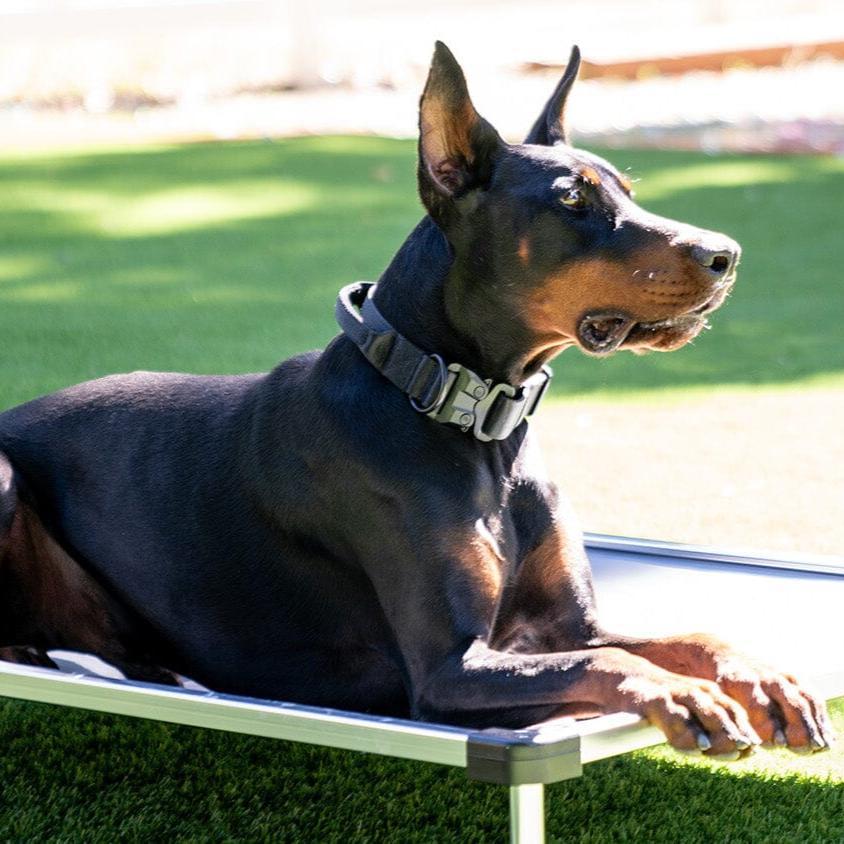 K9 Pro™ Dog Collar - AirTag Holder Kit