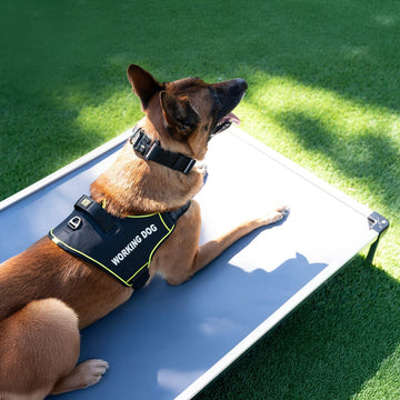 K9 Pro™ Dog Harness