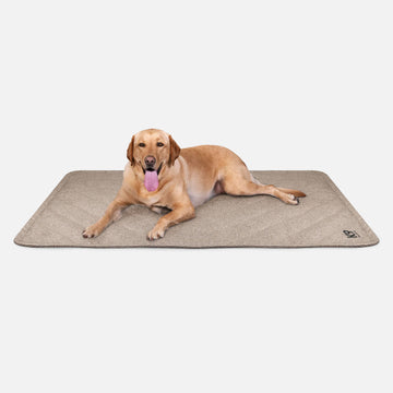 Tough Ripstop™ Dog Blanket