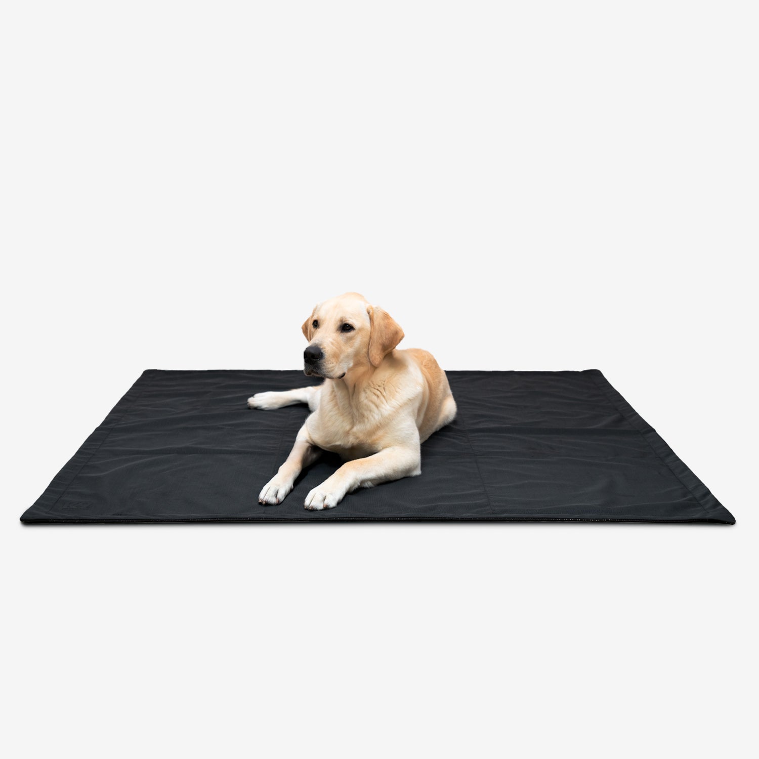 Tough Ripstop™ Portable Dog Tarp