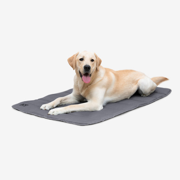 Tough Ripstop™ Dog Travel Mat – K9 Ballistics