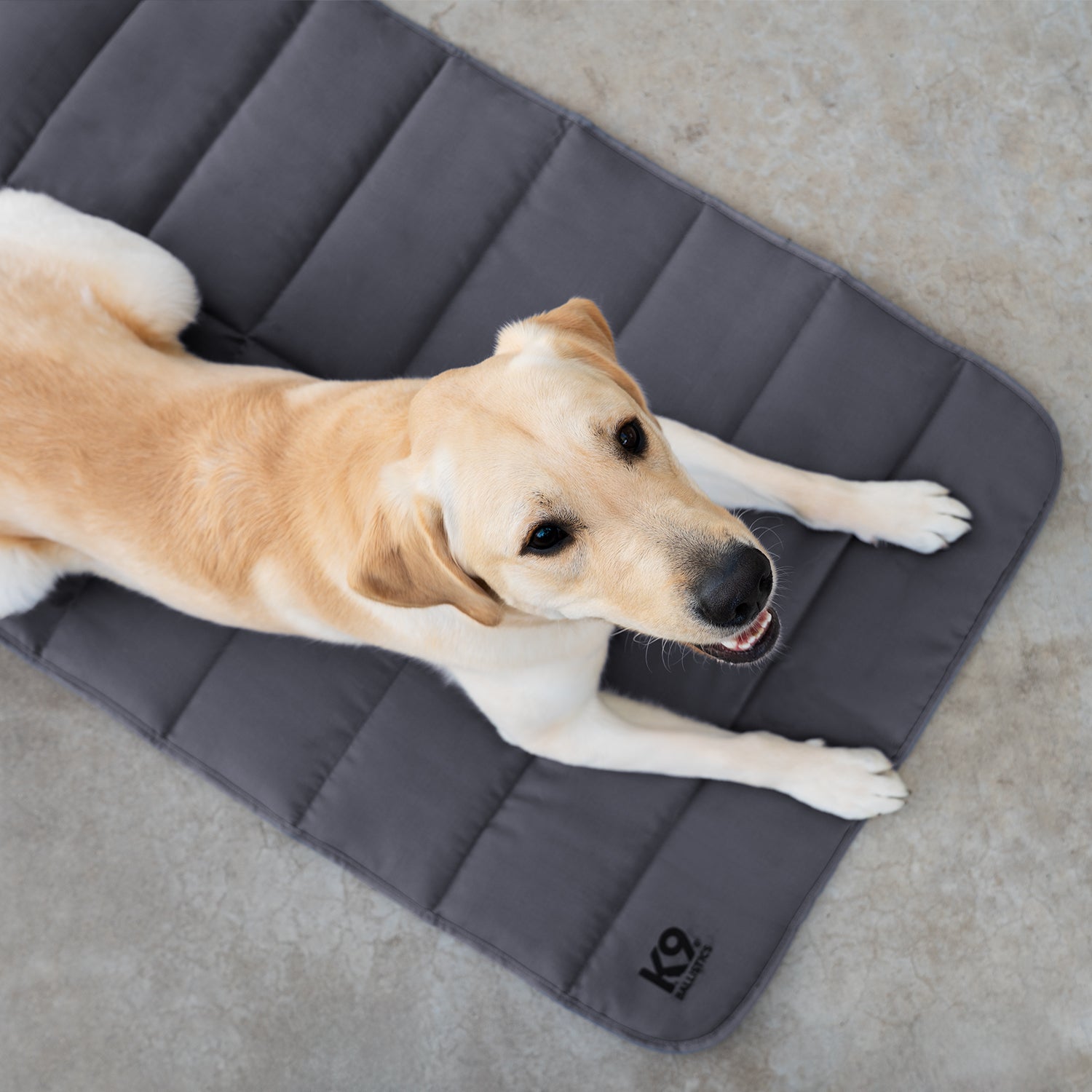 Dog Boot Mat Tough Ripstop™ Dog Travel Mat – K9 Ballistics