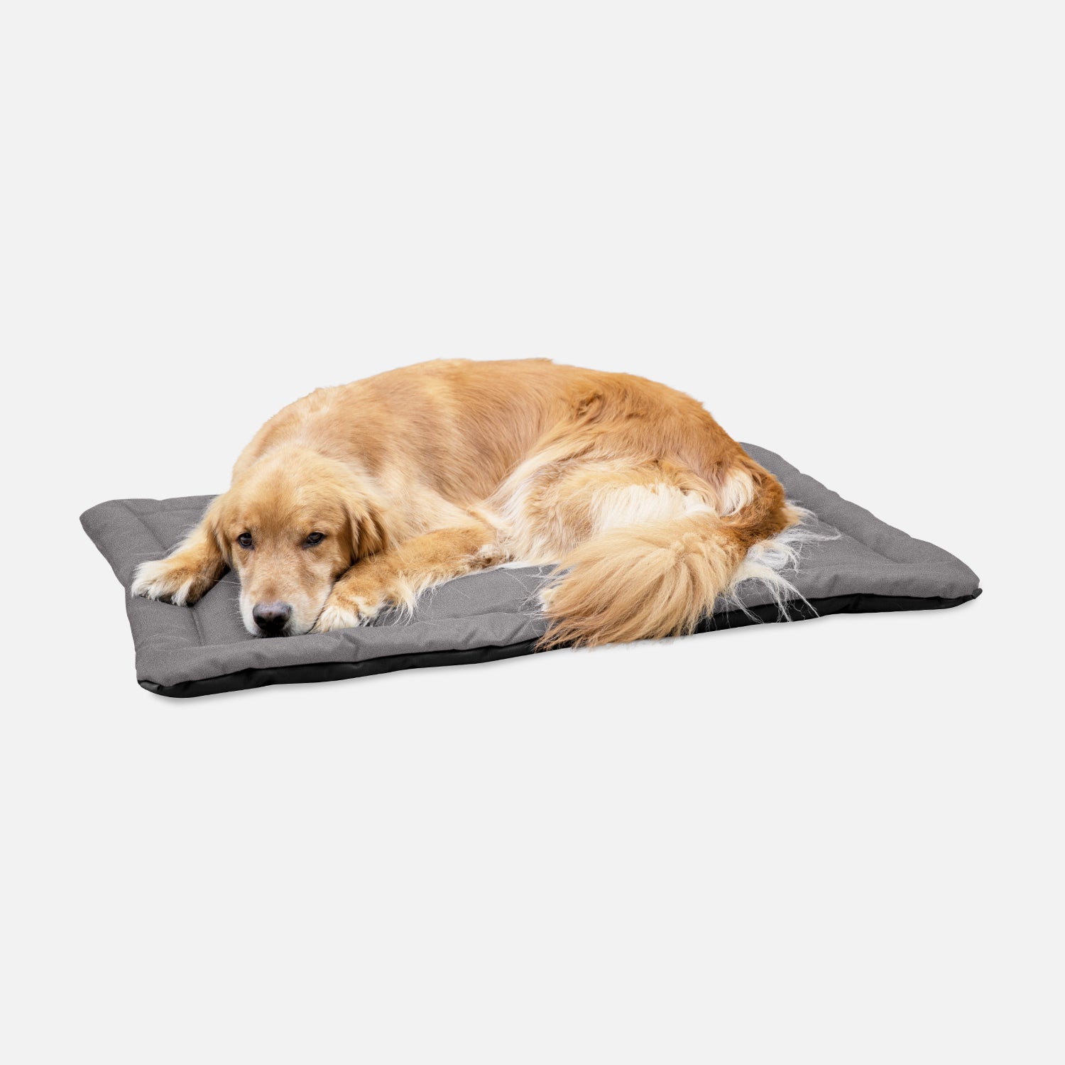 A closer look at Large Padded Kennel Crate Bedding For Sale