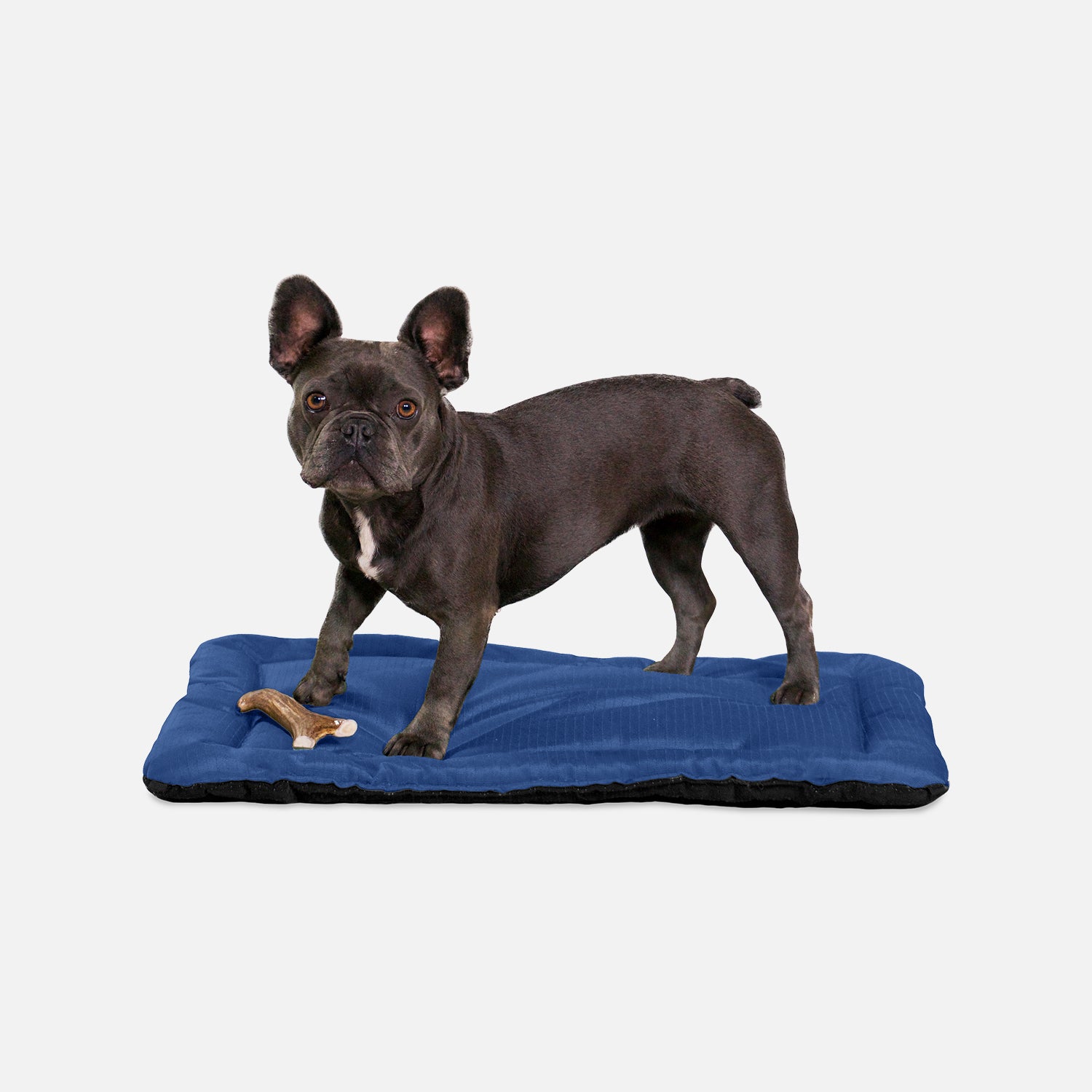 Tough Ripstop Dog Crate Pad S Obsidian Black K9 Ballistics