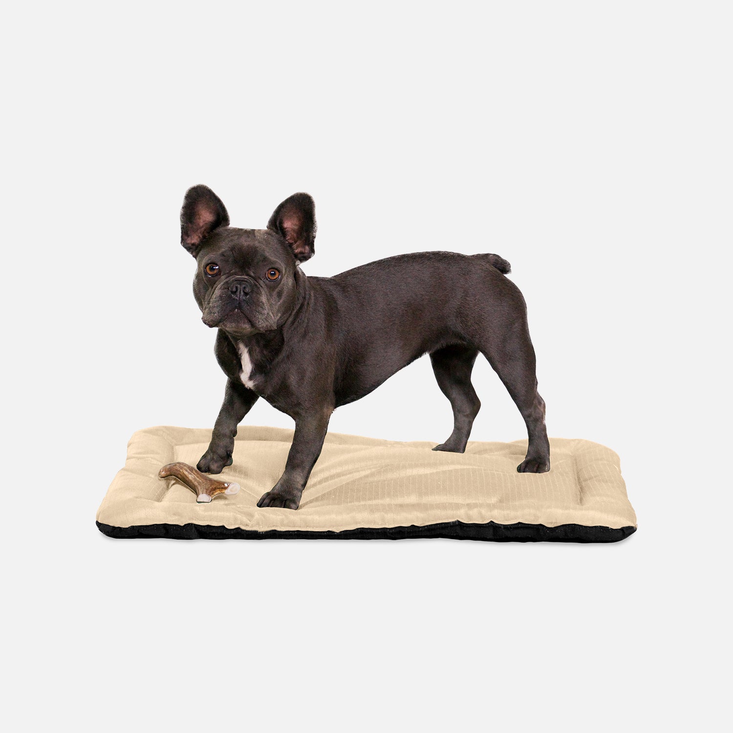 Tough Ripstop™ Dog Crate Pad | K9 Ballistics