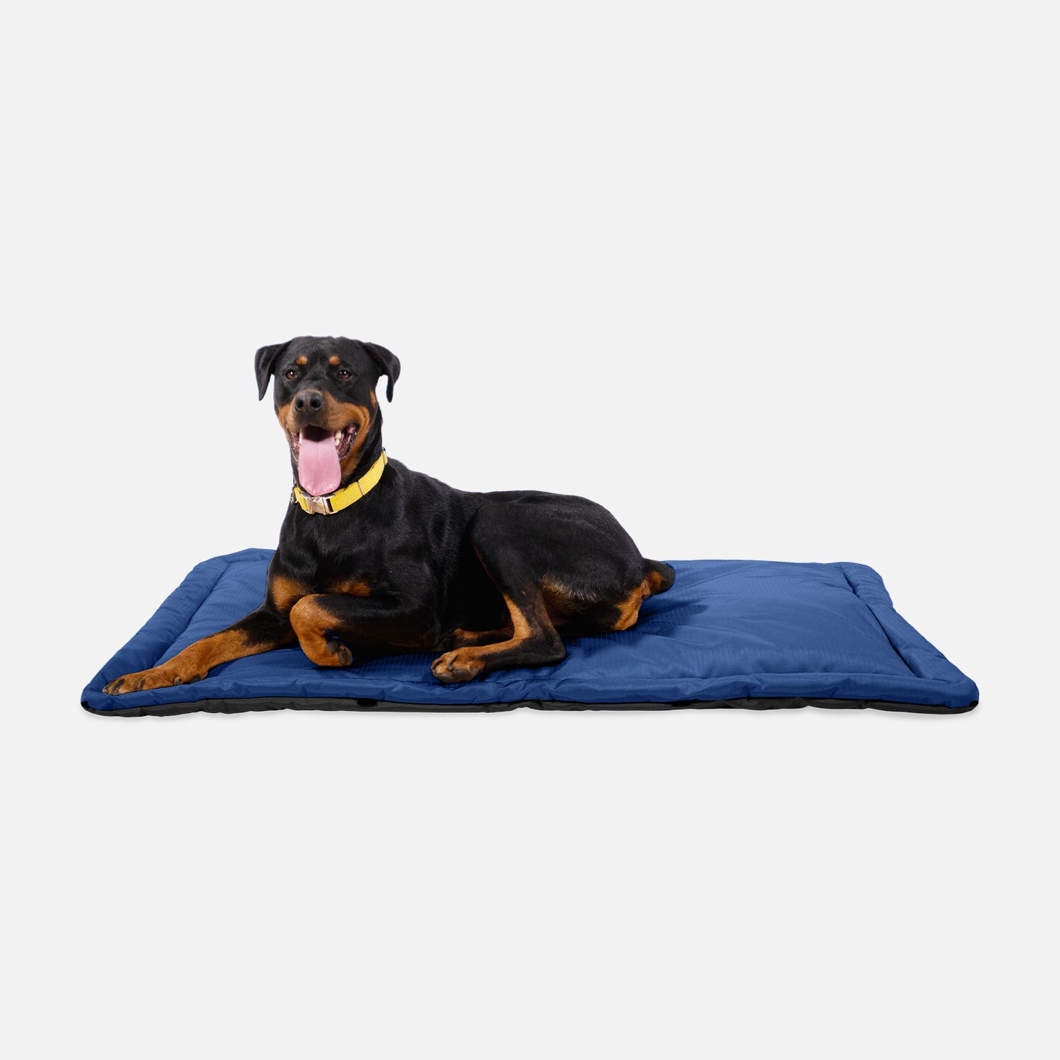 Chew resistant fashion crate pad for dogs