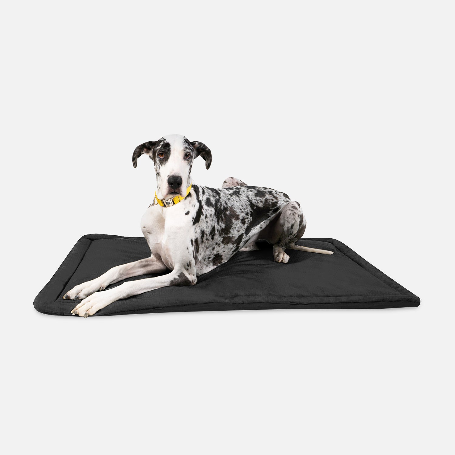 Most durable dog crate shops mat