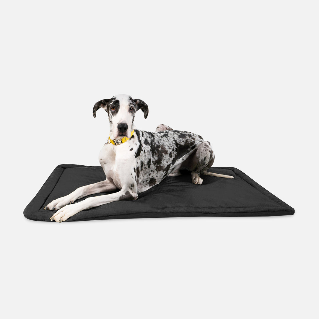A closer look at Xxl Crate Pad Dog Cushions