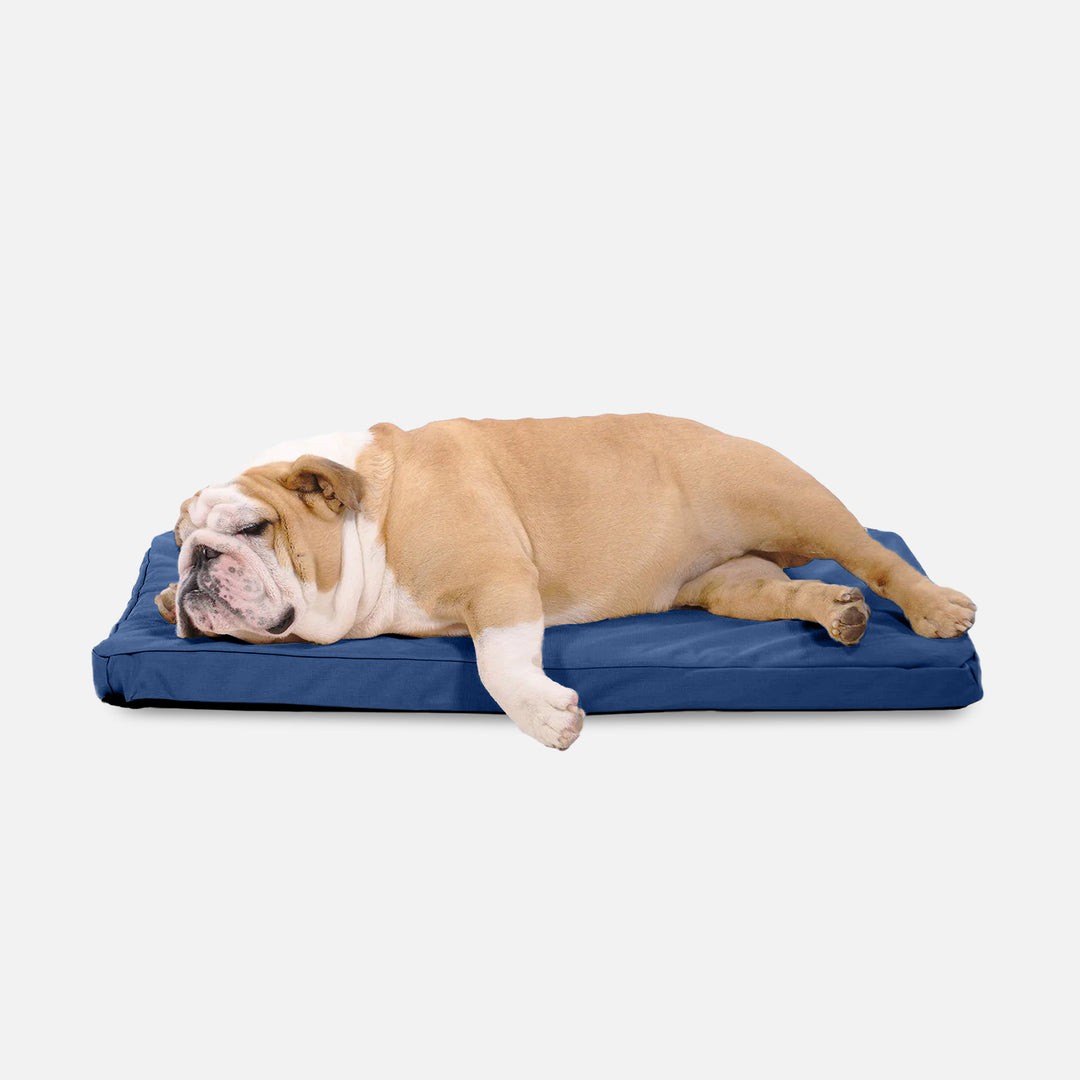 Tough Ripstop Orthopedic Dog Crate Bed Photo Inspiration