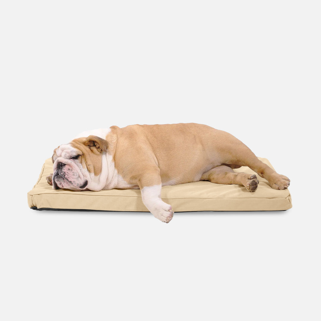 Tough Ripstop™ Orthopedic Dog Crate Bed | K9 Ballistics - Orthopedic Dog Crate With Removable Top