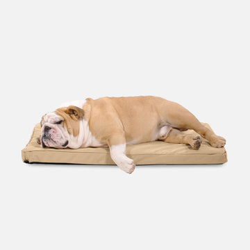 Tough Ripstop™ Orthopedic Dog Crate Bed