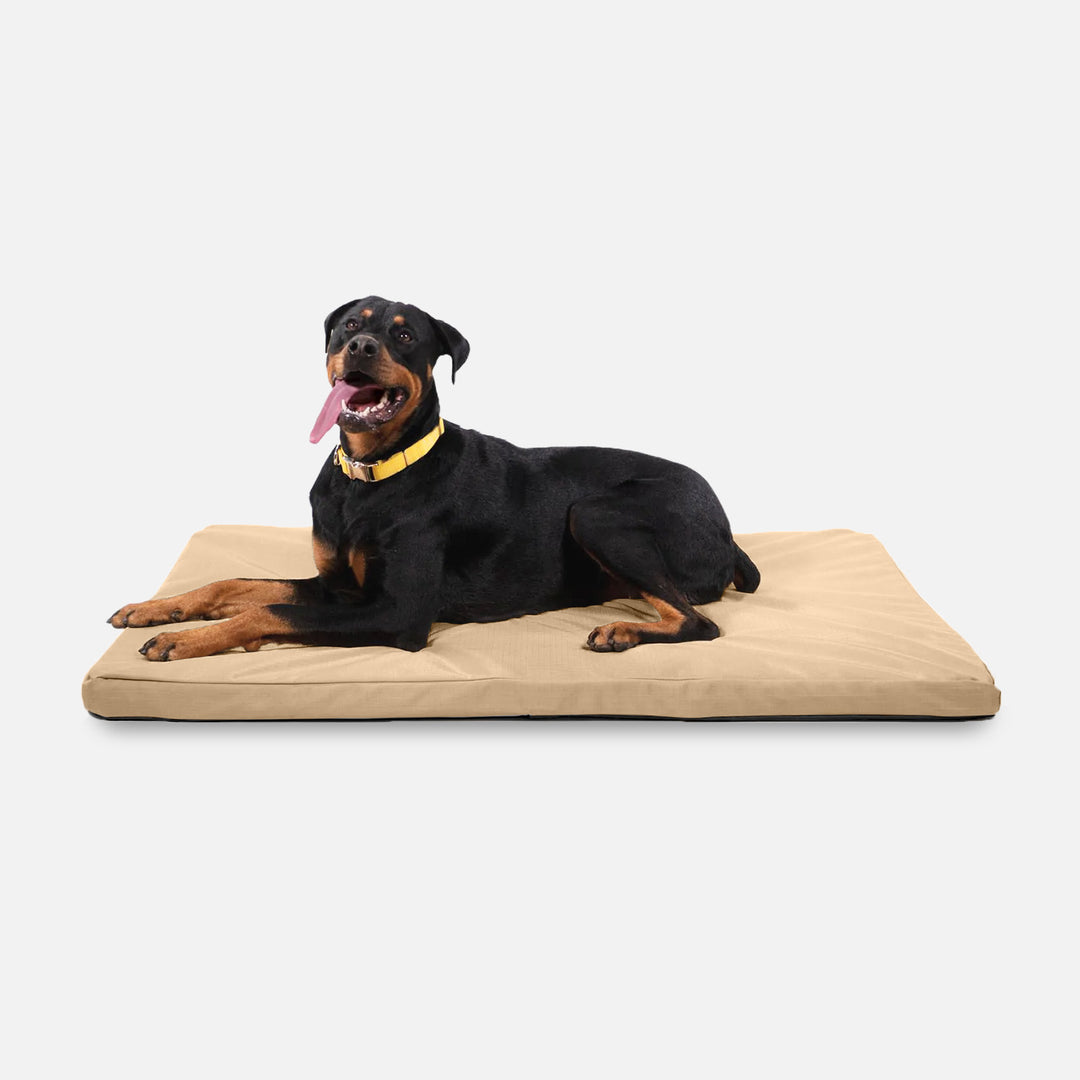 Tough Ripstop™ Orthopedic Dog Crate Bed | K9 Ballistics