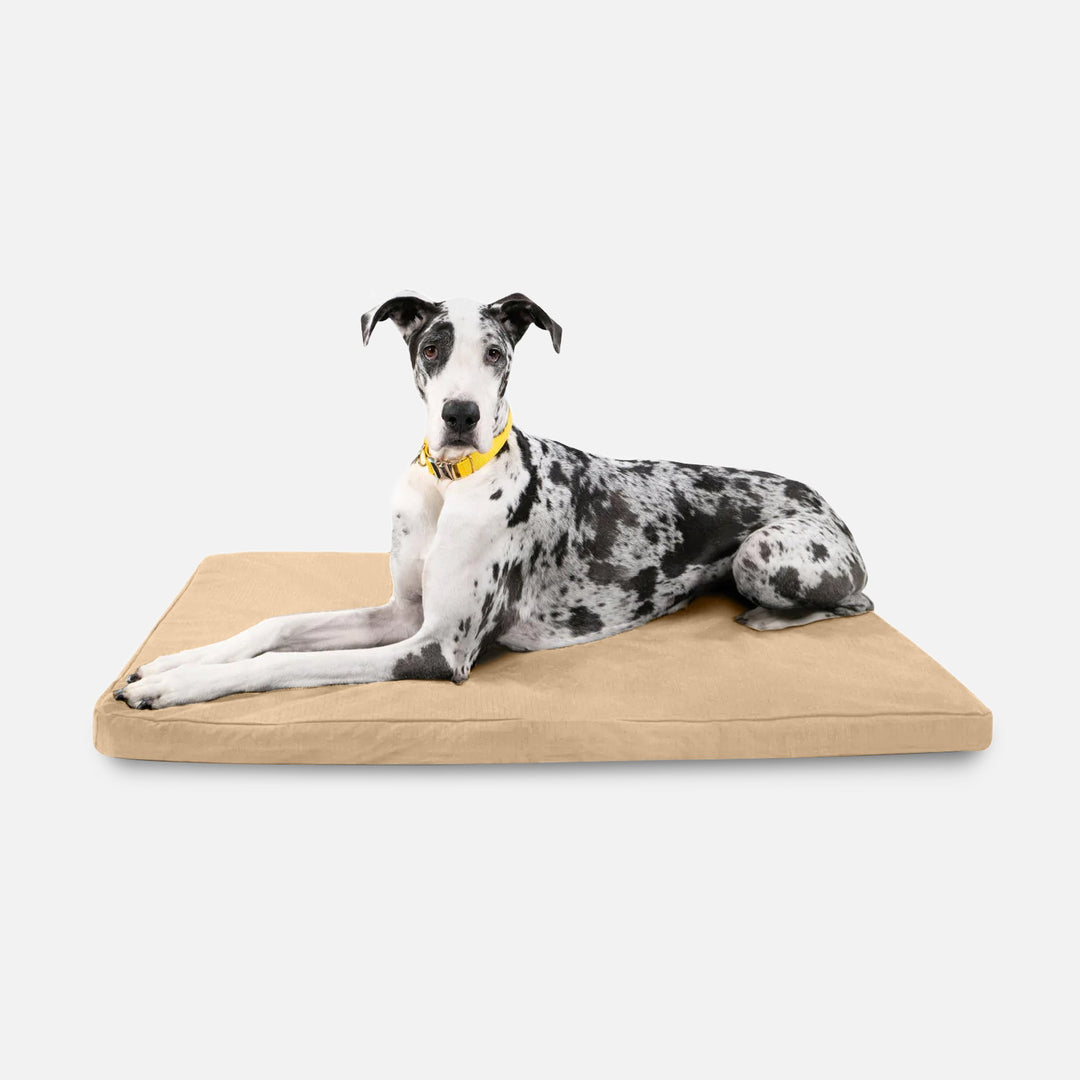 Curated visual reference: Orthopedic Dog Crate Bed For Large Breeds Reference: Tough Ripstop Orthopedic Dog Crate Bed