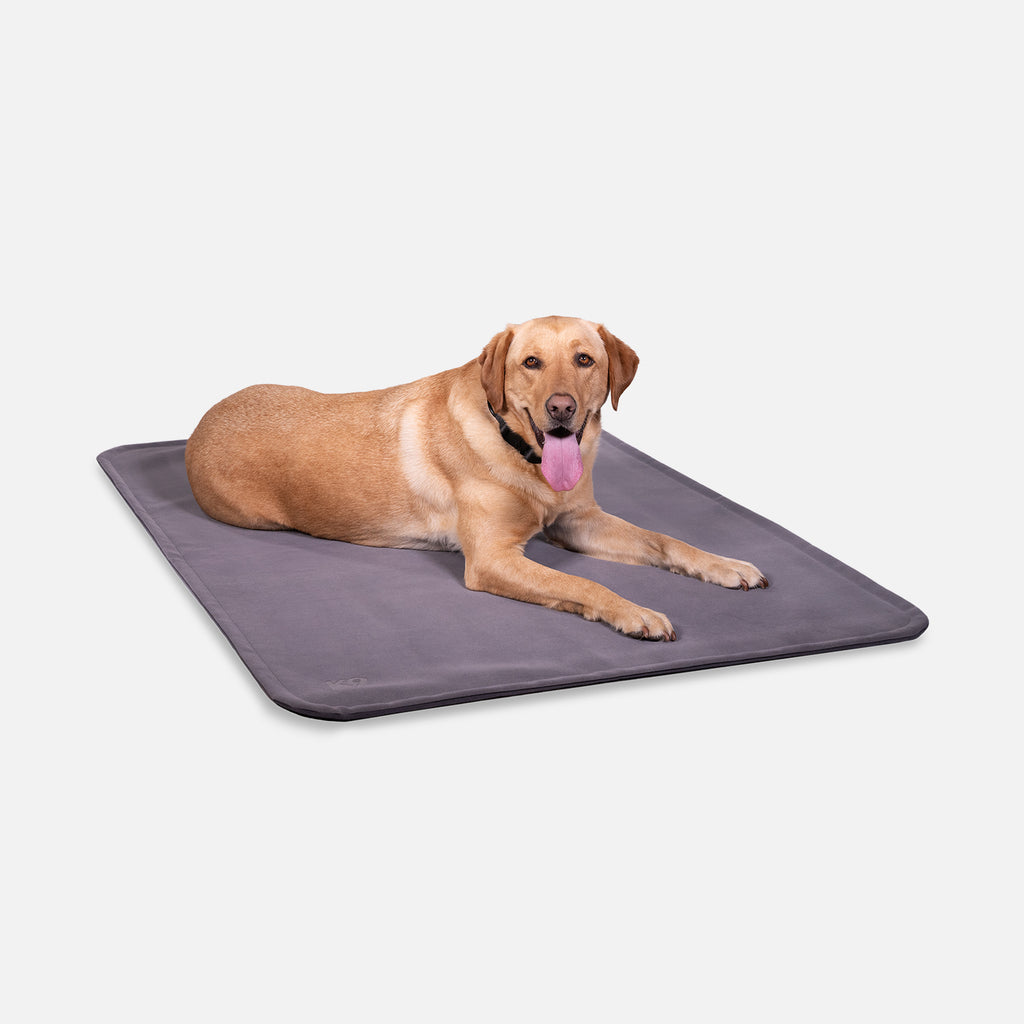 Tear resistant dog blanket sales