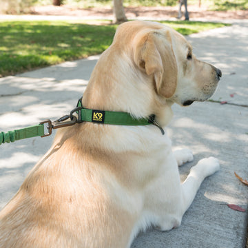 K9 Everyday™ Dog Collar