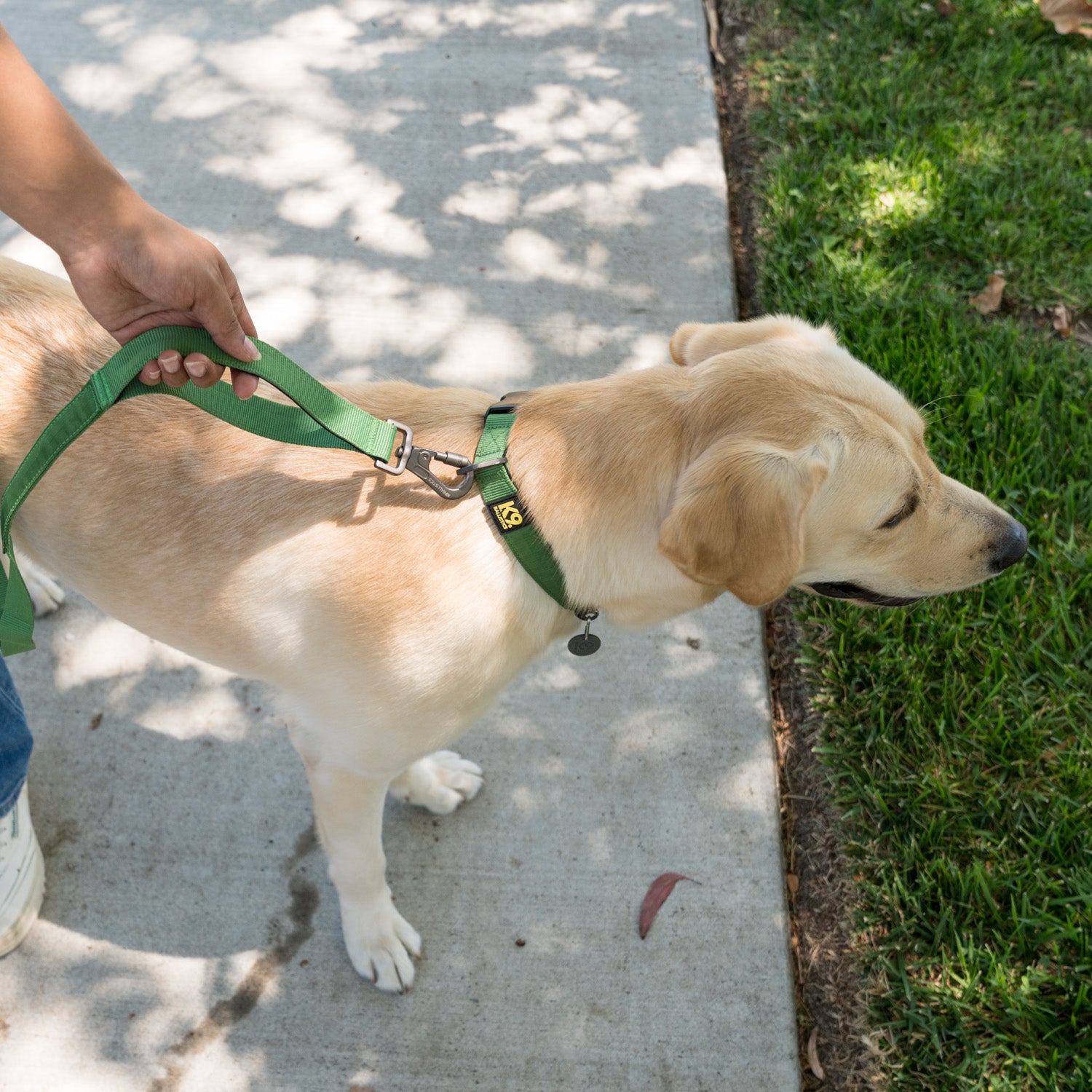 K9 Everyday™ Dog Collar