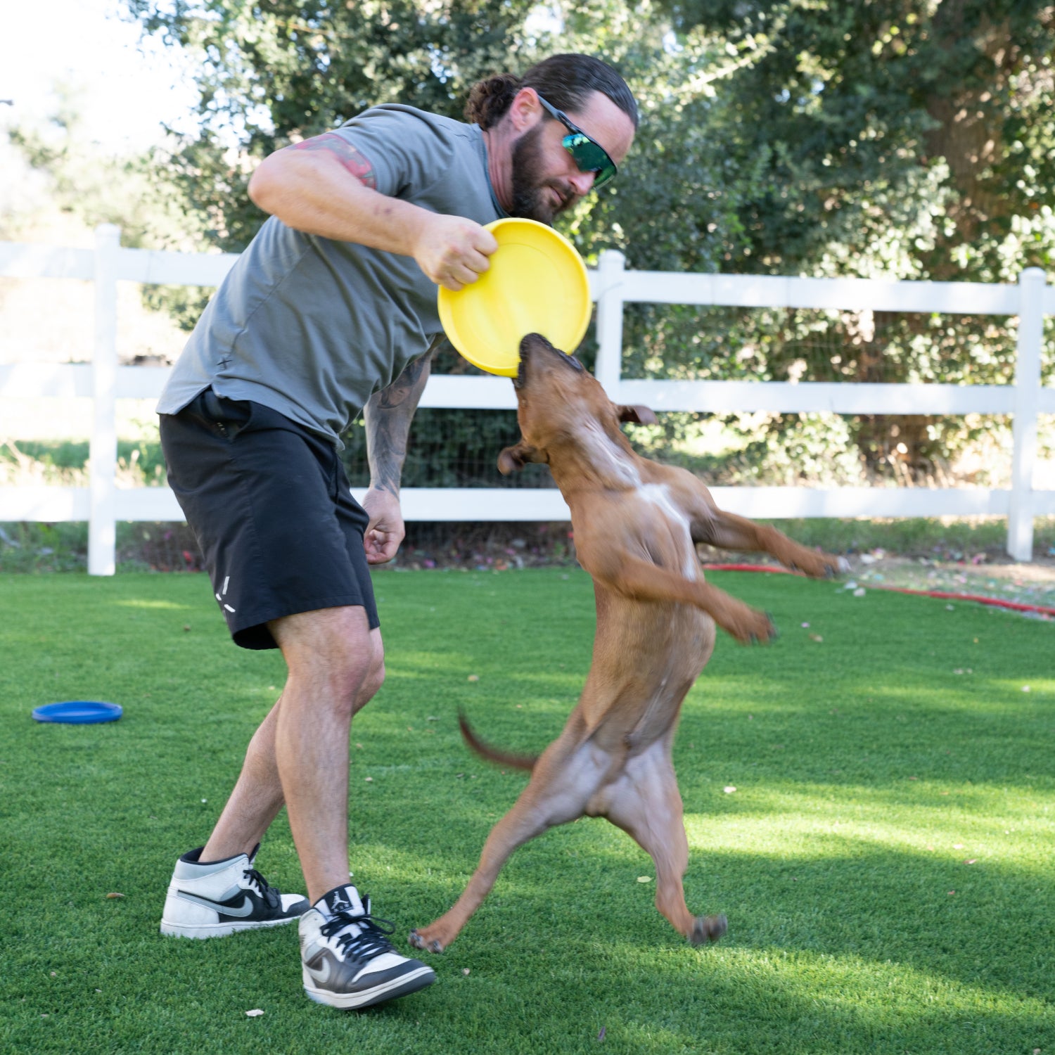 Indestructible frisbee dog toy hotsell