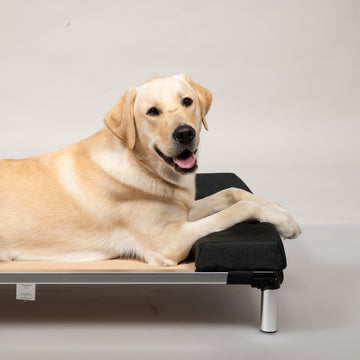 Tough Ripstop™ Pillow Headrest for Elevated Dog Beds