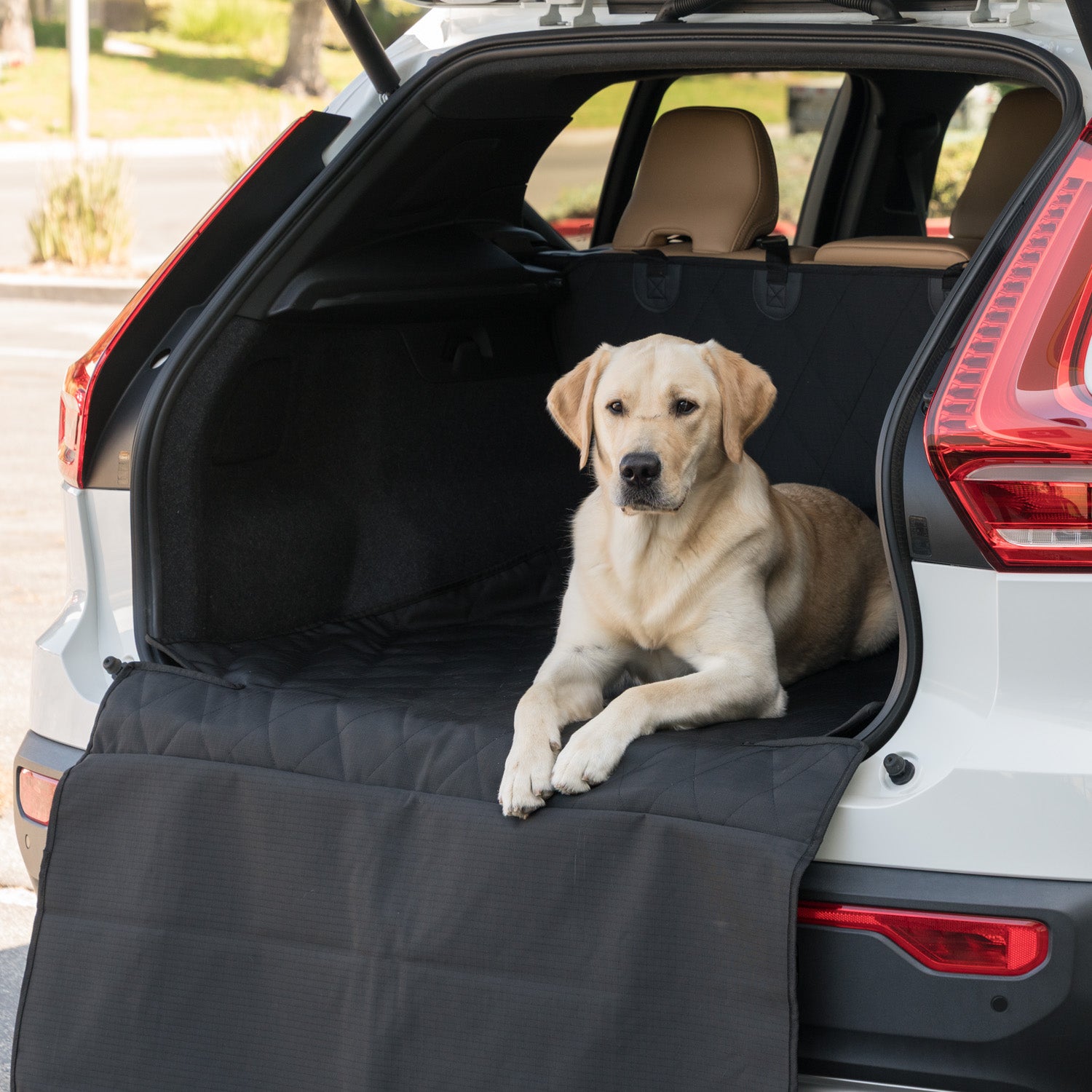 Tough Ripstop™ Dog Cargo Trunk Cover