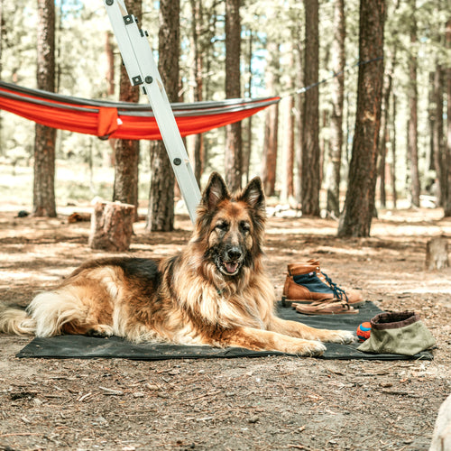 animal in tarp Tough Ripstop™ Portable Dog Tarp