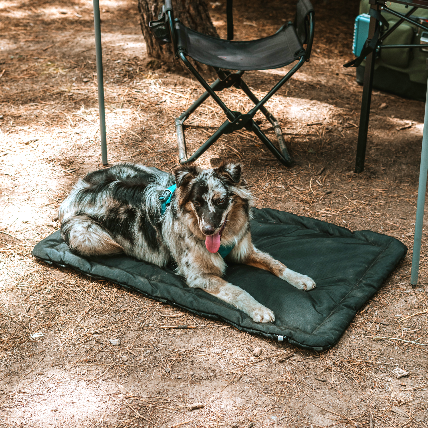 Cage Chew Proof Dog Crate Mat Cage Best Chew Proof Dog Crate Pad