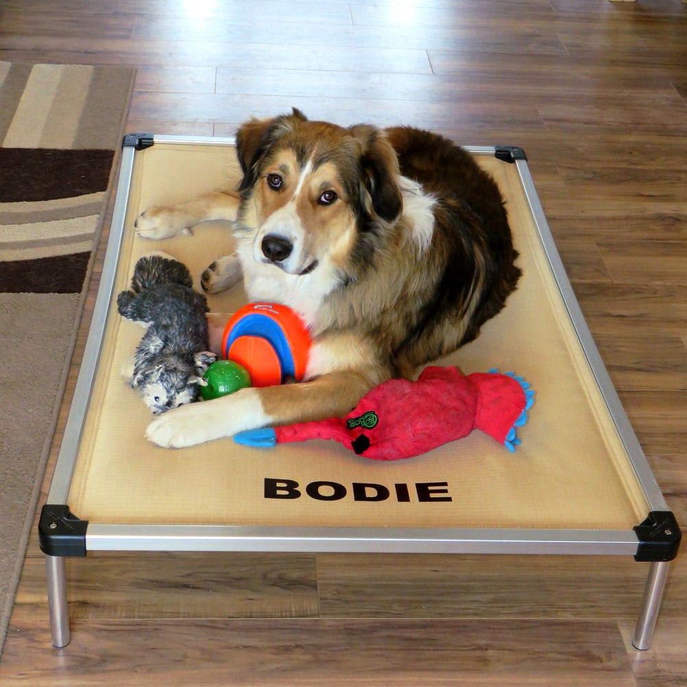 Chew Proof Armored Padded Elevated Dog Crate Bed Indestructible Dog Beds K9 Ballistics