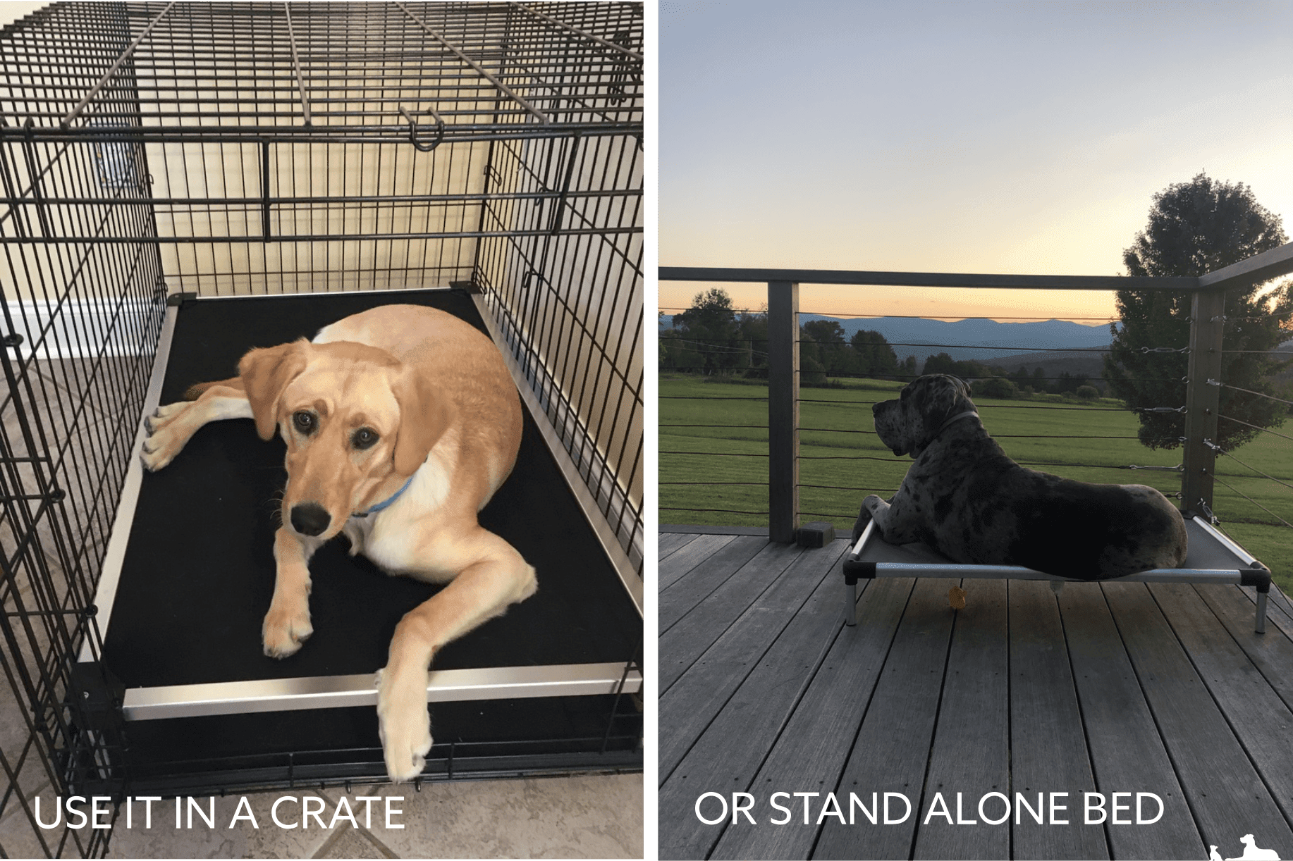 Chew Proof Armored™ Rip-Stop Elevated Dog Bed