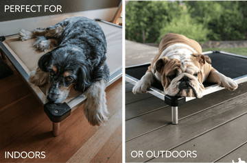 Chew Proof Armored™ Rip-Stop Elevated Dog Bed