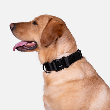 K9 Pro™ Dog Collar