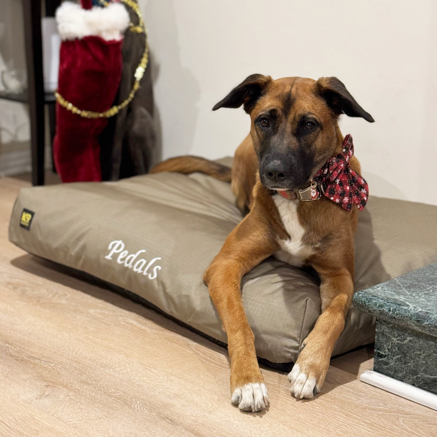 Tough Rip-Stop™ Rectangle Pillow Dog Bed Chew Resistant K9