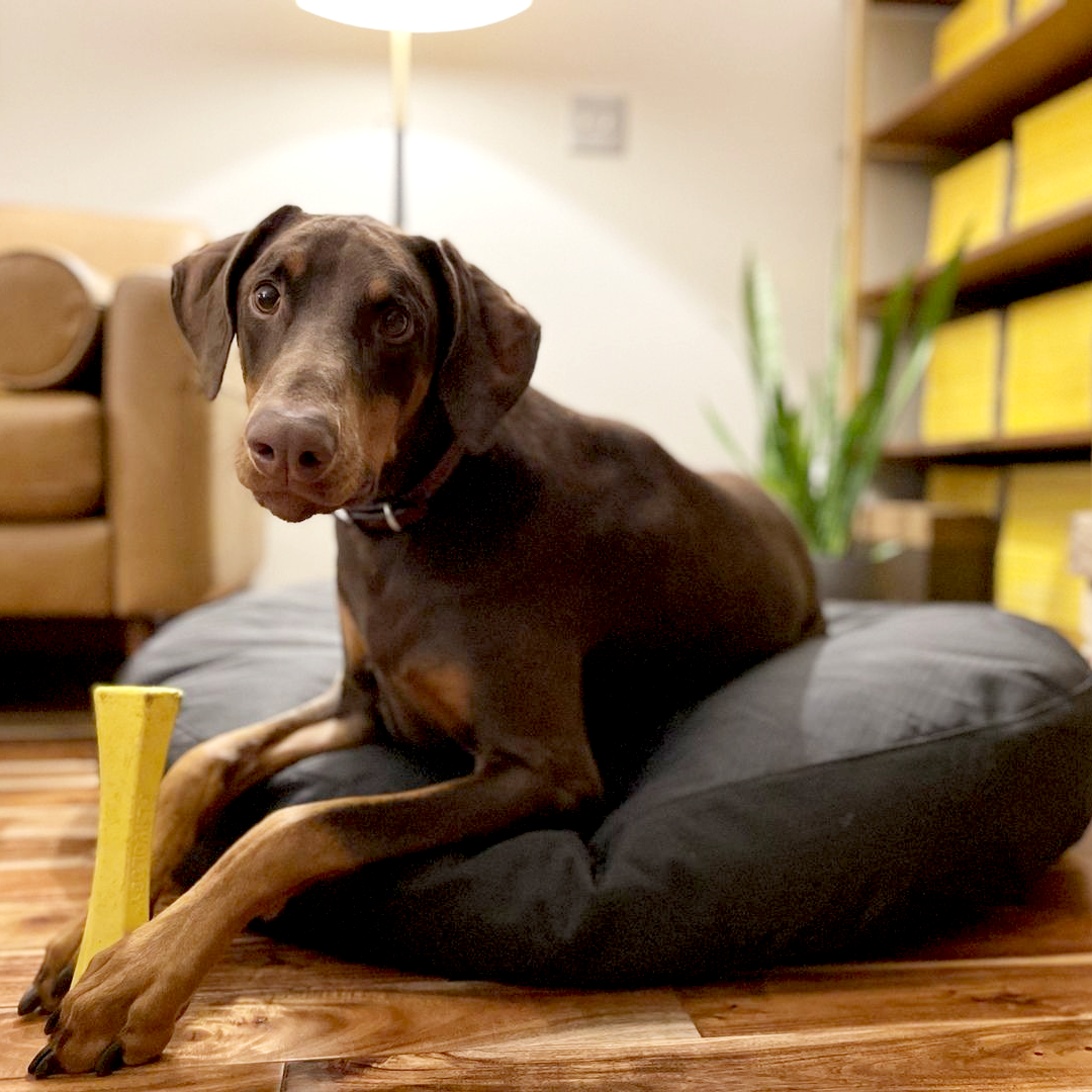 Tough Rip Stop Round Pillow Dog Bed K9 Ballistics
