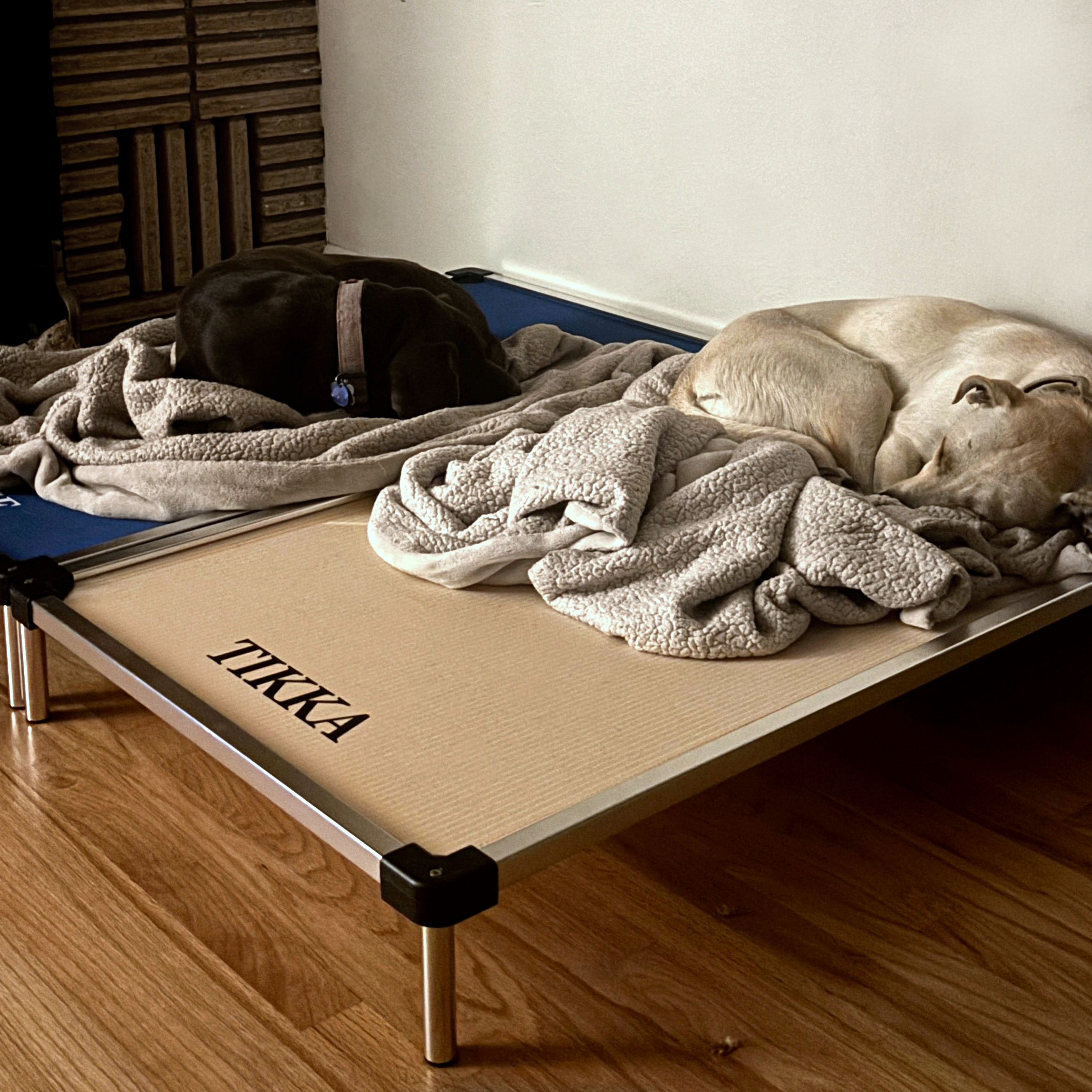 K9 Ballistics Chew Proof Armored™ Ripstop Elevated Dog Bed