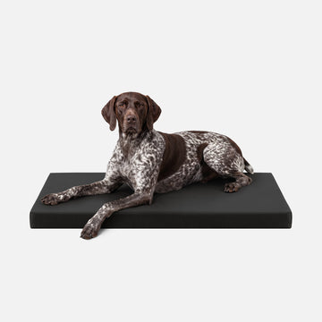 Tough Ripstop™ Orthopedic Dog Crate Bed