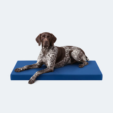 Tough Ripstop™ Orthopedic Dog Crate Bed