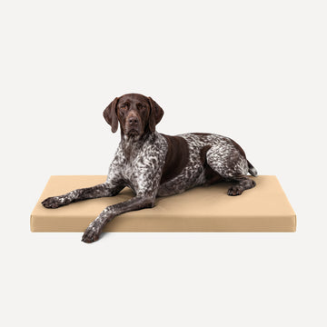 Tough Ripstop™ Orthopedic Dog Crate Bed