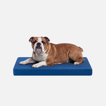 Tough Ripstop™ Orthopedic Dog Crate Bed
