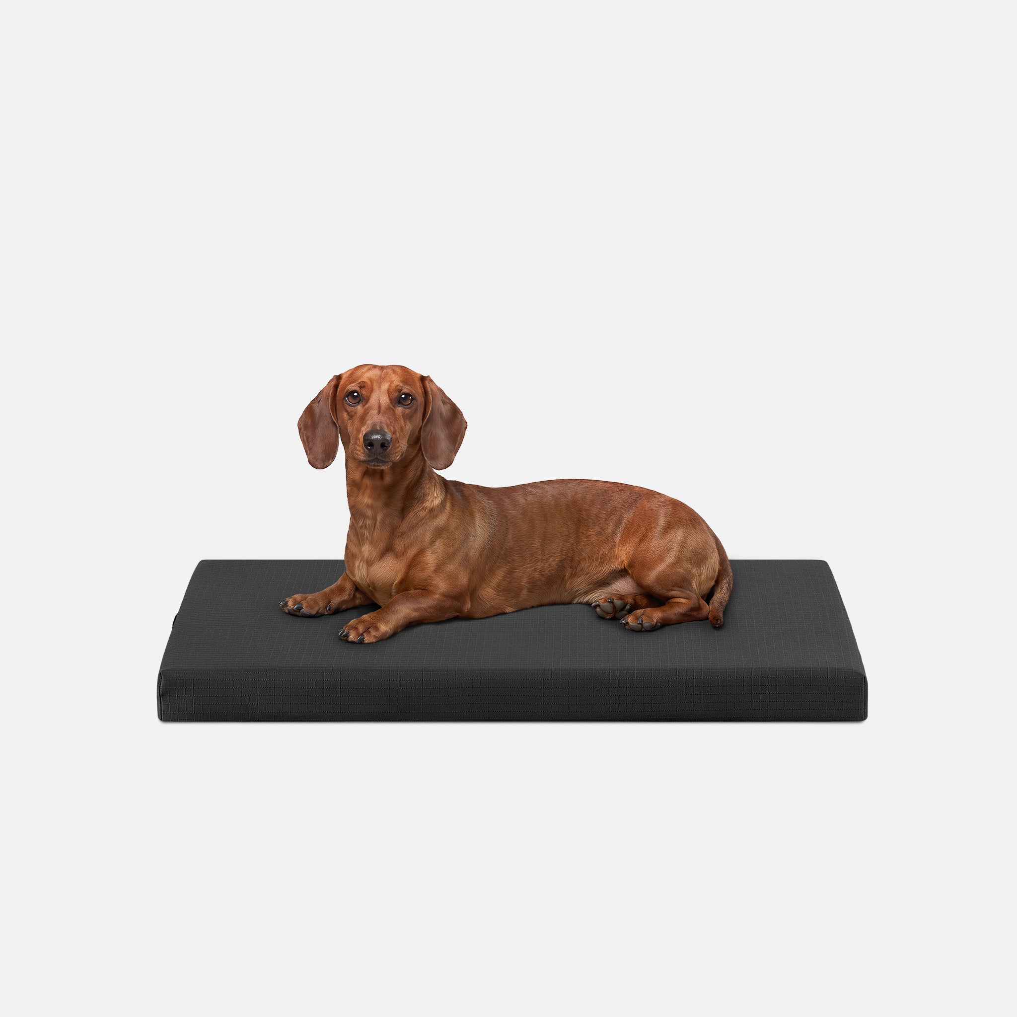 Tough Ripstop™ Orthopedic Dog Crate Bed