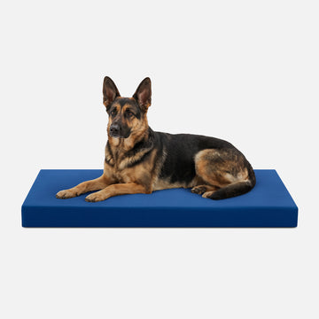 Tough Ripstop™ Orthopedic Dog Crate Bed