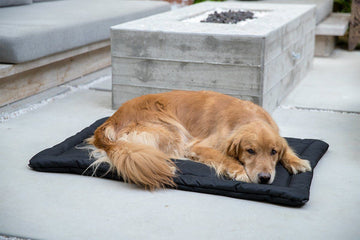 Tough Dog Crate Pad™ - Open Box