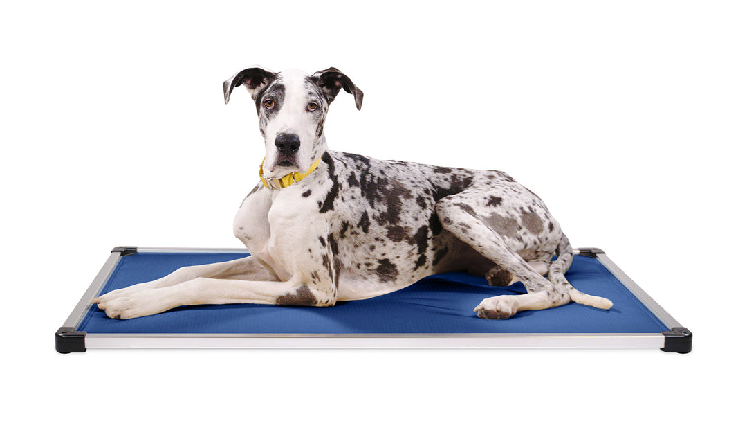 Chew Proof Armored™ Dog Crate Pad Indestructible Dog Beds K9 Ballistics