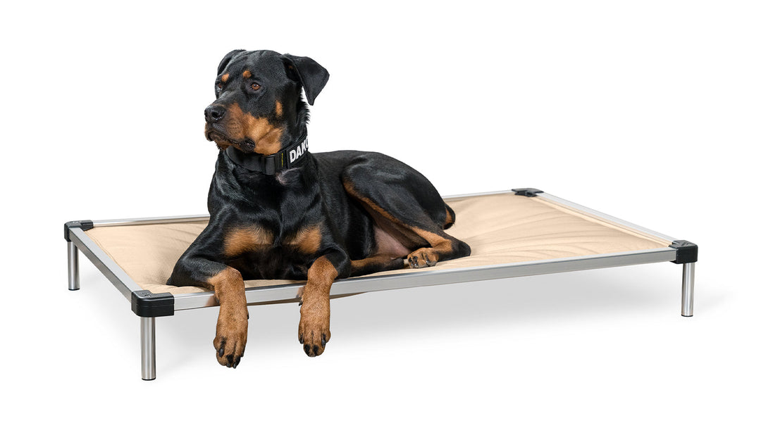 Image showcasing Chew Proof Armored™ Padded Elevated Dog Crate Bed | Indestructible Dog ...