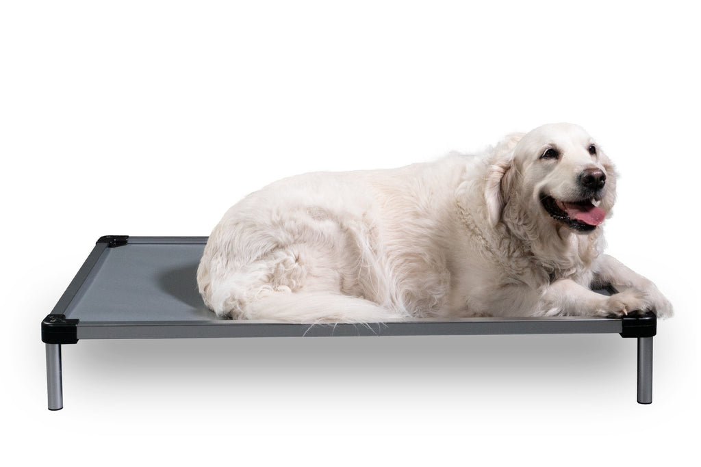 Chew Proof Armored Elevated Vinyl Dog Bed™