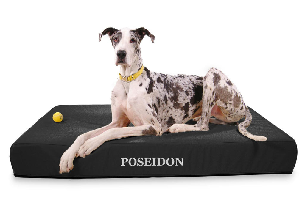 Giant Rectangle 7 inch Orthopedic Dog Beds