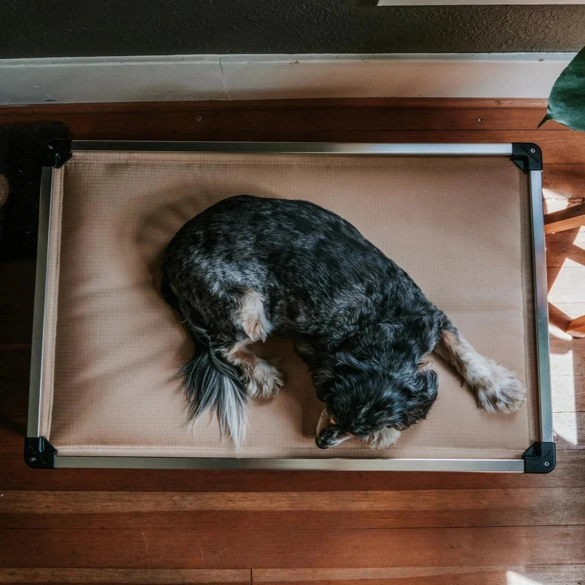 Chew Proof Armored™ Padded Elevated Dog Crate Bed Open Box