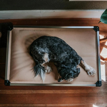 Chew Proof Armored™ Padded Elevated Dog Crate Bed Open Box