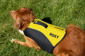 K9 Dog Life Jacket™