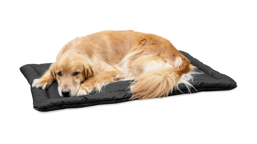 Best Dog Beds in 2024 | Chew Resistant & Durable | K9 Ballistics®