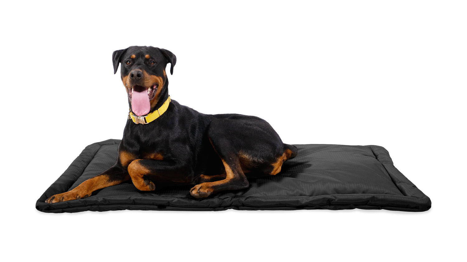 Reversible dog crate mat, 4 sizes – BeOneBreed